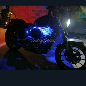 아퀼라300