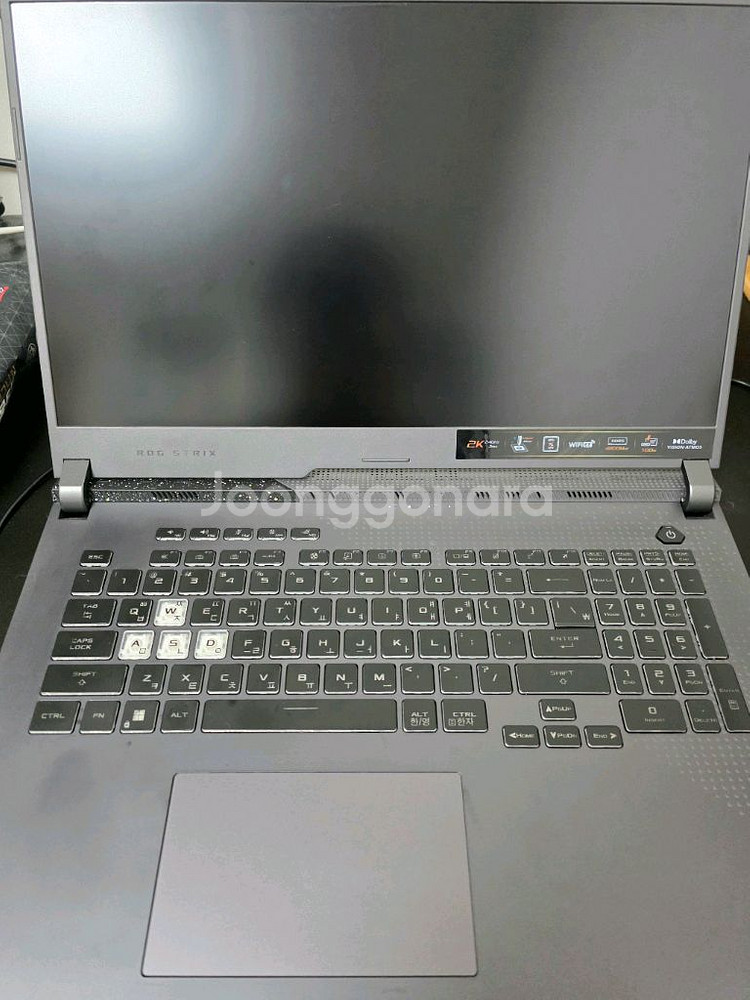 ASUS ROG G713RM-LL121 게이밍노트북팝니--1