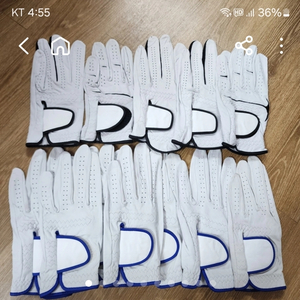 정말좋은 남성 골프장갑 3천원분양