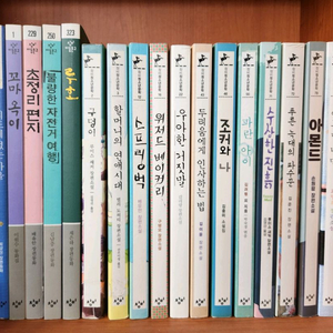 창비 아동문고+ 청소년문고 20권 44500원