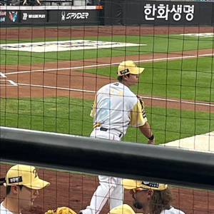 5/25 한화 롯데 1루 단석 팝니다