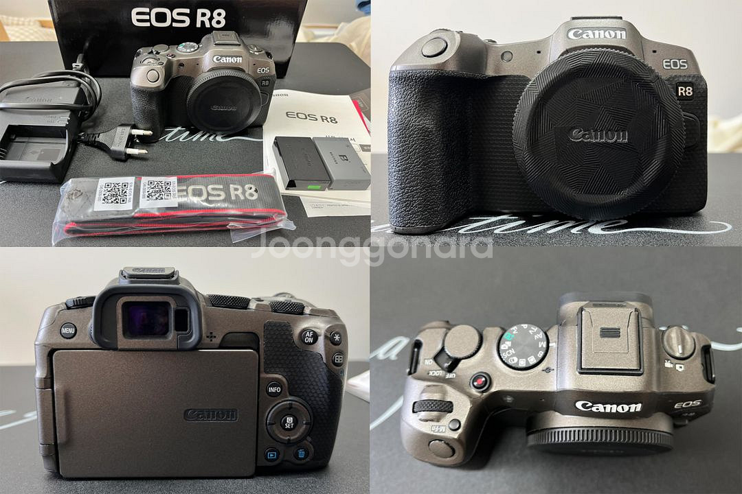 캐논 EOS R8--0