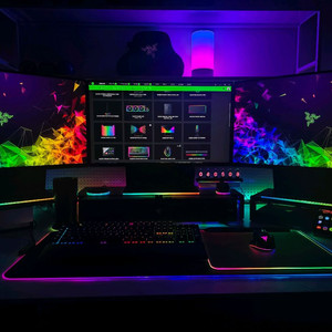 레이저 랩터 27인치 165hz