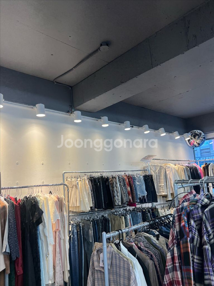 레일조명 화이트 레일등 일괄 판매--1