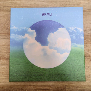 악동뮤지션 lp