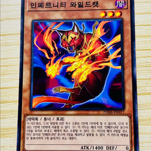 [유희왕 카드] 인페르니티 와일드캣