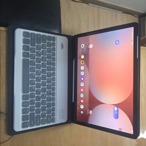 갤럭시탭 S10 플러스 5G 모델