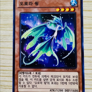 [유희왕 카드] 오로라 윙