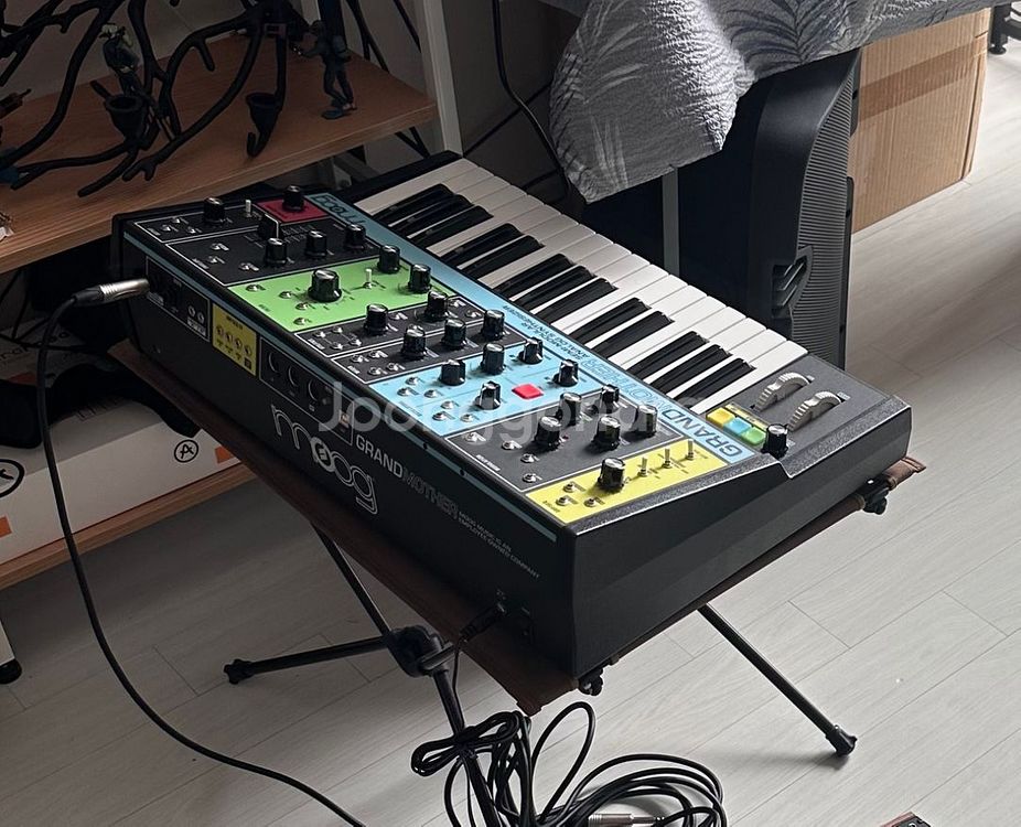 moog Grandmother 신디사이저--1