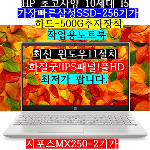 HP/i5 1035G1/SSD256/하드500/MX25