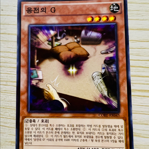 [유희왕 카드] 응전의 G