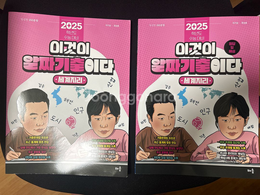 이곳이 알짜 기출이다 세계지리 2025--0