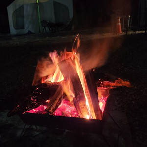 모토벨로g8프로 48v 20a 구매합니다