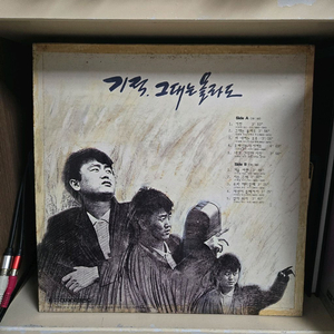 이재성 lp판