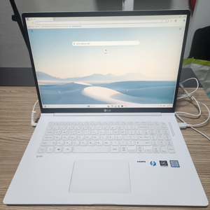 LG 그램 17Z990 화이트 노트북