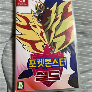 닌텐도 스위치 소드 칩