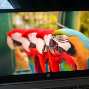 hp 15인치 ai 노트북 125h (24년 12월 구