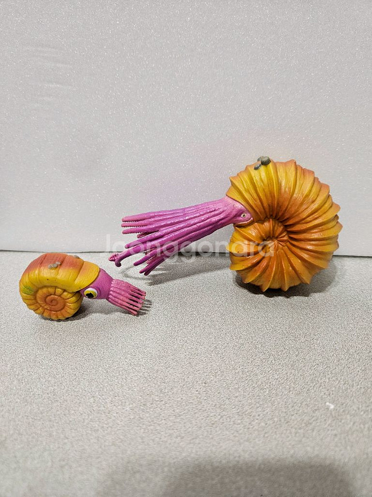 공룡메카드 더블피규어 암모나이트 택포--0