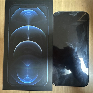 아이폰 12 프로 맥스 256GB 퍼시픽블루