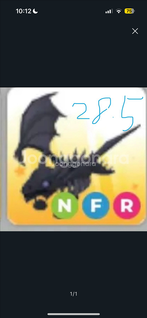 입양하세요 펫 주문 받습니다--0