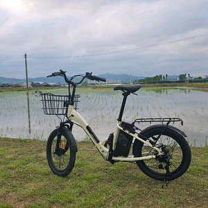 삼천리 팬텀 데이지 20인치 350W