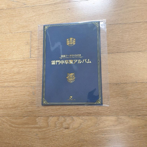이나즈마 일레븐 극장판 특전 DVD