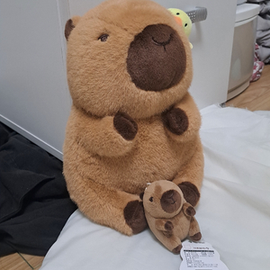 카피바라 카피바라짱 병아리 인형