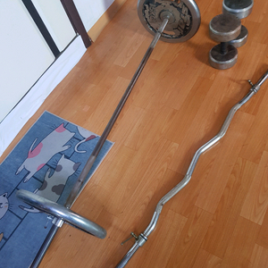 역기 아령