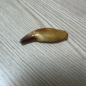타이거 송곳팝니다