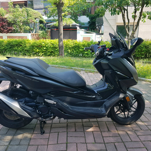 신경써서 관리하고 탄 포르자350