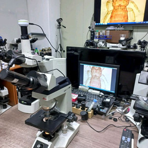 (인하)라이카 ATC2000 쌍안현미경 싸게판매합니다