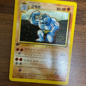 포켓몬 카드 일괄로 팝니다(근육몬 초판,레시라무 보관함