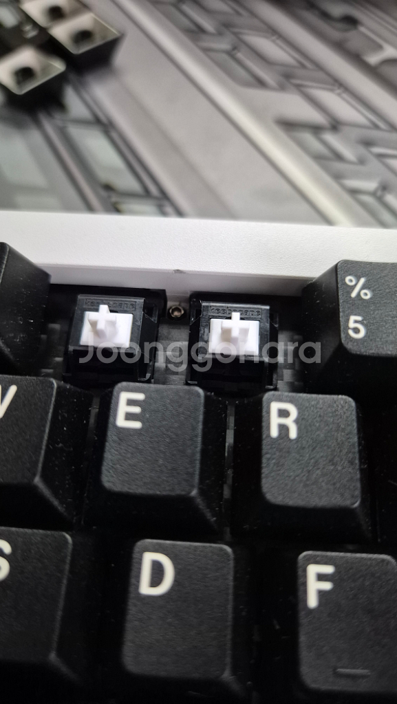 qk60 커스텀 키보드 판매 + 쿨거래 서비스 gmk--2