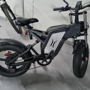 타이탄 전기자전거 mx2000
