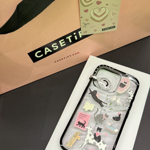casetify 16pro