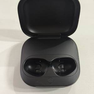 애플 비츠 핏 프로 본체