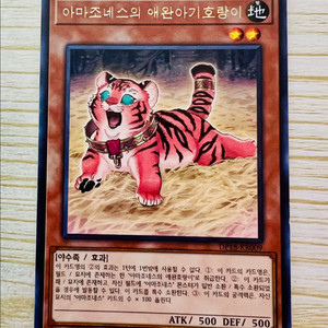 [유희왕 카드] 아마조네스의 애완아기호랑이