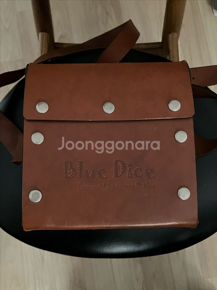 블루다이스 기타앰프(Blue Dice)--1