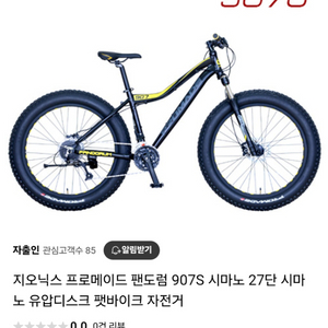 팻바이크