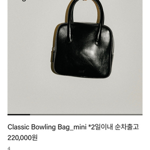 더히어 미니볼링백
