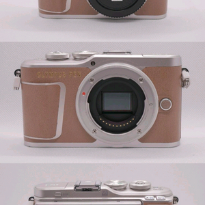 올림푸스 E-PL9