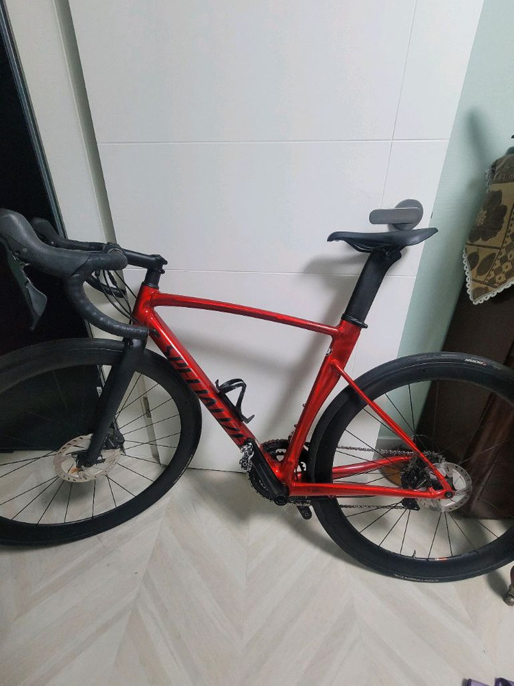 스페셜라이즈드 알레스프린트 21 이미지