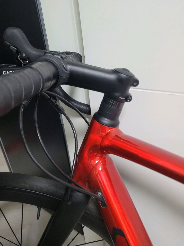 스페셜라이즈드 알레스프린트 21 이미지