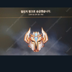 롤토체스 티어성형 해드립니다