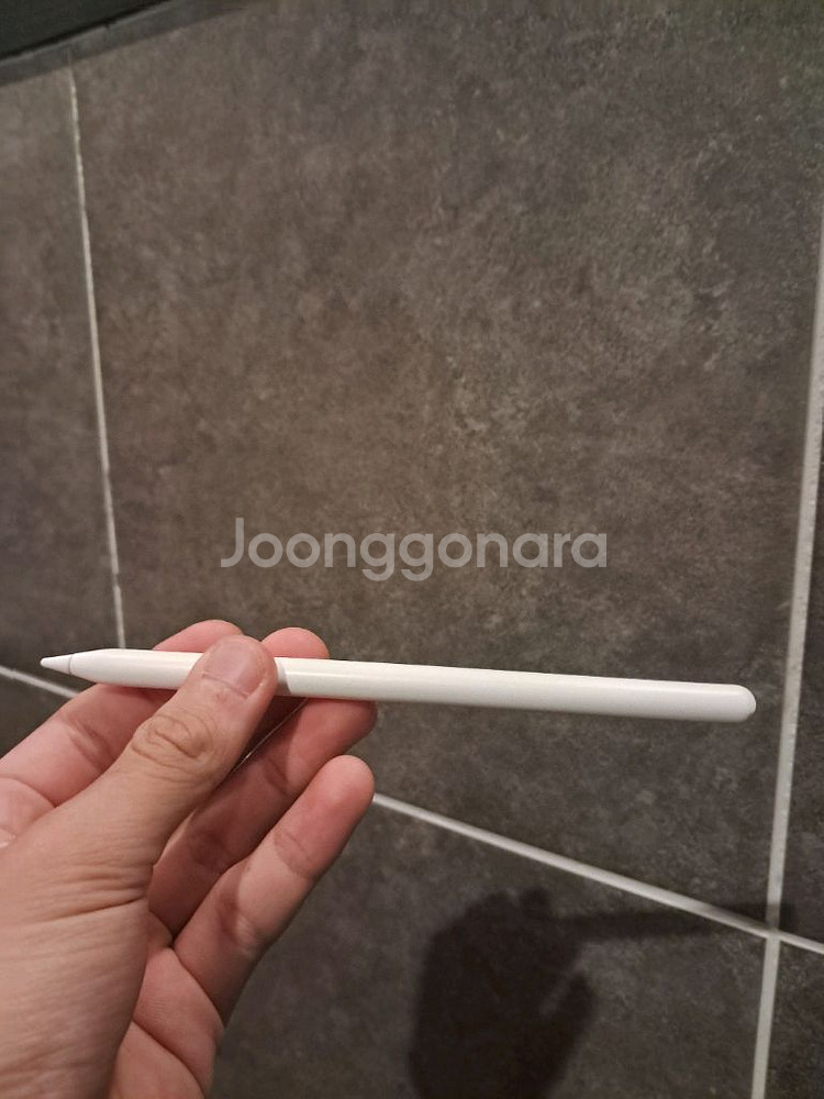 애플펜슬 2세대--0