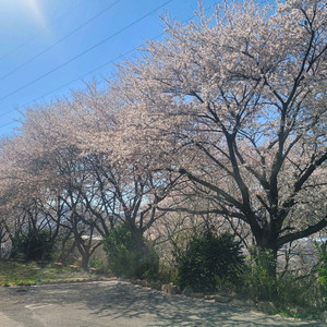 RTX3070 그래픽카드 삽니다.