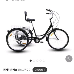 성인용 세발 자전거