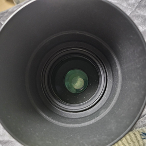 시그마 apo 120-400mm dg hsm캐논용