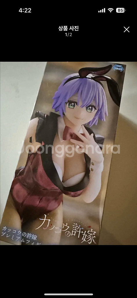 미개봉) 뻐꾸기 커플 세가와 히로 미소녀 피규어--1