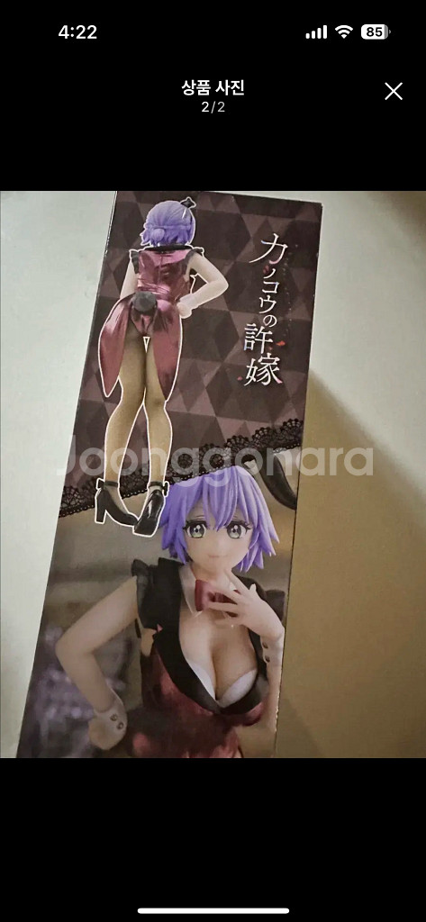 미개봉) 뻐꾸기 커플 세가와 히로 미소녀 피규어--2